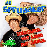Přední strana obalu CD Scheissegal wir leben nur einmal
