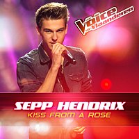 Sepp Hendrix – Kiss From A Rose [The Voice Van Vlaanderen 2016]