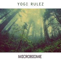Yogi Rulez – Microbiome FLAC