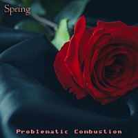 Problematic Combustion – Spring
