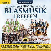 Přední strana obalu CD Das große Blasmusiktreffen - Folge 2 - Instrumental - 40 Superhits der Blasmusik