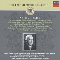 Bliss: Orchestral Works