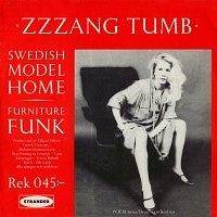 Zzzang Tumb – Swedish Model Home