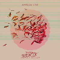 Apollo LTD – One In A Million [DENM Remix]