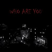 Přední strana obalu CD Who Are You