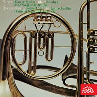 Přední strana obalu CD Neruda, Biber, Rössler-Rosseti, Ryba: Koncerty pro trubku a lesní roh