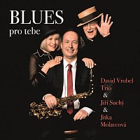 Přední strana obalu CD Blues pro tebe