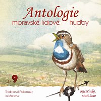 Různí interpreti – Antologie moravské lidové hudby CD9. Katerinko, staň hore CD