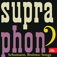 Přední strana obalu CD Schumann, Brahms: Písně