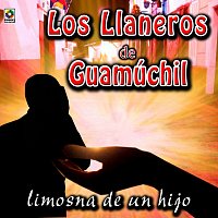 Los LLaneros de Guamúchil – Limosna De Un Hijo