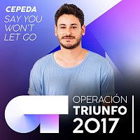 Cepeda – Say You Won't Let Go [Operación Triunfo 2017]