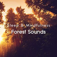 Sleepy Times – Forest Sounds (Sleep & Mindfulness)