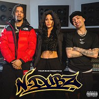 N-Dubz – Trust No One (Tour Bus Freestyle)