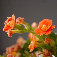 Přední strana obalu CD Cardio Stage