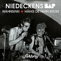 Niedeckens BAP – Wahnsinn / Hang de Fahn eruss [Live im Sartory]