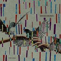 Jordi Forniés – Erased Words