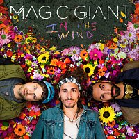 MAGIC GIANT – In The Wind