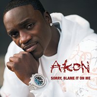 Akon – Sorry, Blame It On Me