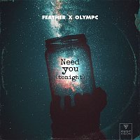 Feather x Olympc – Need You (Tonight)