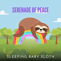 Sleeping Baby Sloth – Serenade of Peace