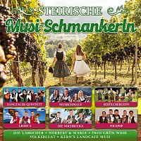 Kern's Landcafe Musi, volXpop, Trio Grün Weiß, Die Nochrucka, Schulcherleitn – Steirische Musi-Schmankerln