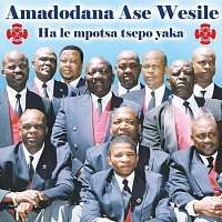 Amadodana Ase Wesile – Hale Mpotsa Tsepo Yaka