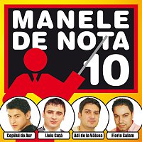 Různí interpreti – Manele De Nota 10