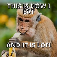 lofi creep – This Is How I Eat and It Is Lofi