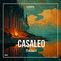 Přední strana obalu CD Casaleo (Radio Edit)