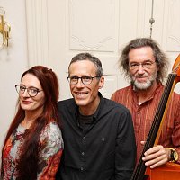 Přední strana obalu CD Herbert Koller zu Dritt (Live)