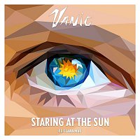 Staring At The Sun