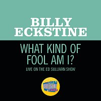 What Kind Of Fool Am I? [Live On The Ed Sullivan Show, July 22, 1962]