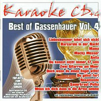 Karaokefun.cc VA – Best of Gassenhauer Vol.4