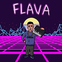 Přední strana obalu CD Flava