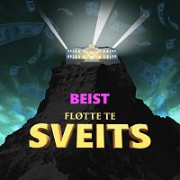 Flotte te Sveits