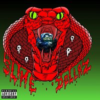 Wtf (feat. Slime Dollaz)