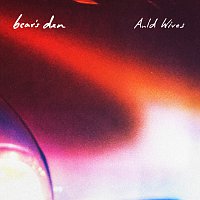 Bear's Den – Auld Wives