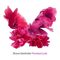 Sharon Gesthalter – Promised Land