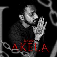 BAWA – Akela