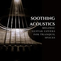 Daniel Flowers, Lucas Silver, Dario Solaire, Arlo Vega, Aleko Nunez, Luke Gaul – Soothing Acoustics: Melodic Guitar Covers for Tranquil Spaces