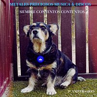 Varios Artistas – Metales Preciosos 5? Aniversario