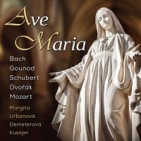 Různí interpreti – Ave Maria