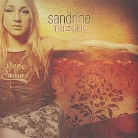 Přední strana obalu CD Trigger