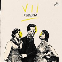 Verdena – Volevo Magia