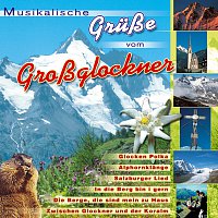 Různí interpreti – Musikalische Grusze vom Grossglockner