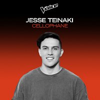 Jesse Teinaki – Cellophane [The Voice Australia 2020 Performance / Live]