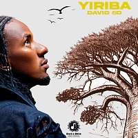 David 6D – YIRIBA