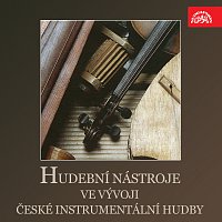 Různí interpreti – Hudební nástroje ve vývoji české instrumentální hudby MP3