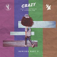 Lost Frequencies & Zonderling – Crazy (Remixes, Pt. 2)