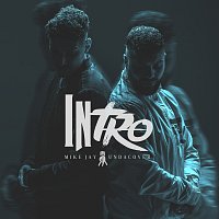 Přední strana obalu CD Intro